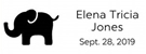 Picture of Elena Rectangular Birth Announcement Stamp